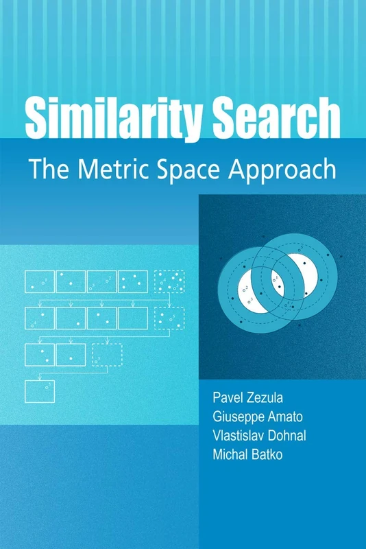 Springer Similarity Search: The Metric Space Approach (Vol 32)