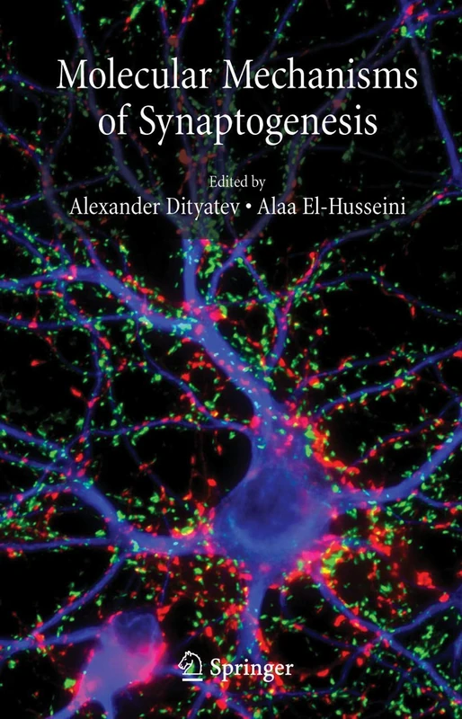 Molecular Mechanisms of Synaptogenesis - Image 1