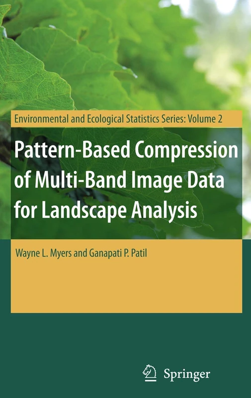 Pattern-Based Compression of Multi-Band Image Data for Landscape Analysis: 2 (Environmental and Ecological Statistics, 2)