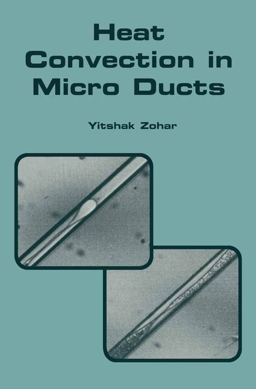 Heat Convection in Micro Ducts: 11 (Microsystems, 11)