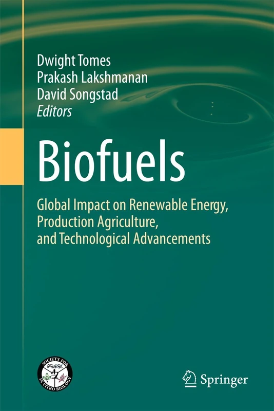 Springer Biofuels - Global Impact on Renewable Energy Book - Image 1