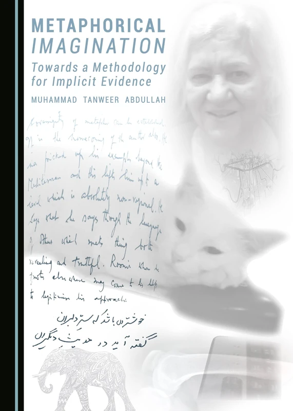 Metaphorical Imagination: Towards a Methodology for Implicit Evidence - Image 1