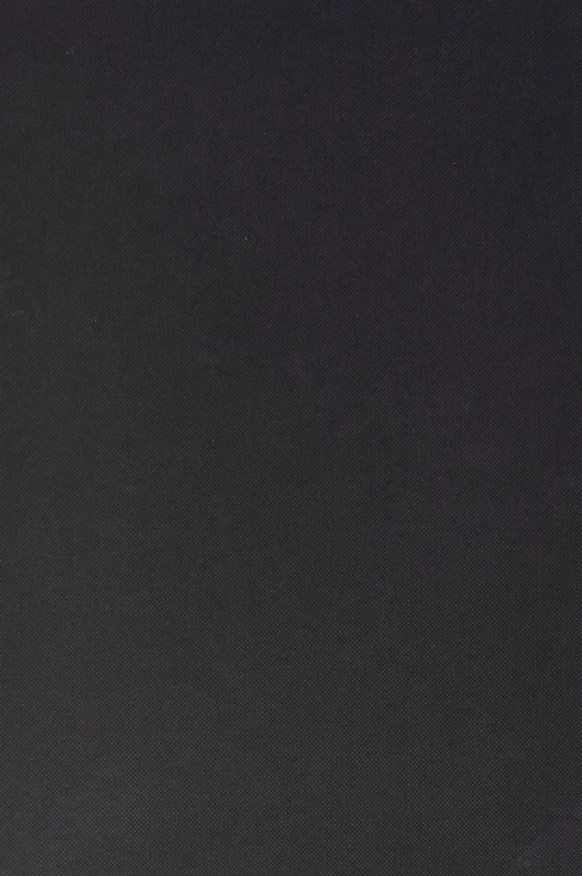 Literature Reviews in Social Work