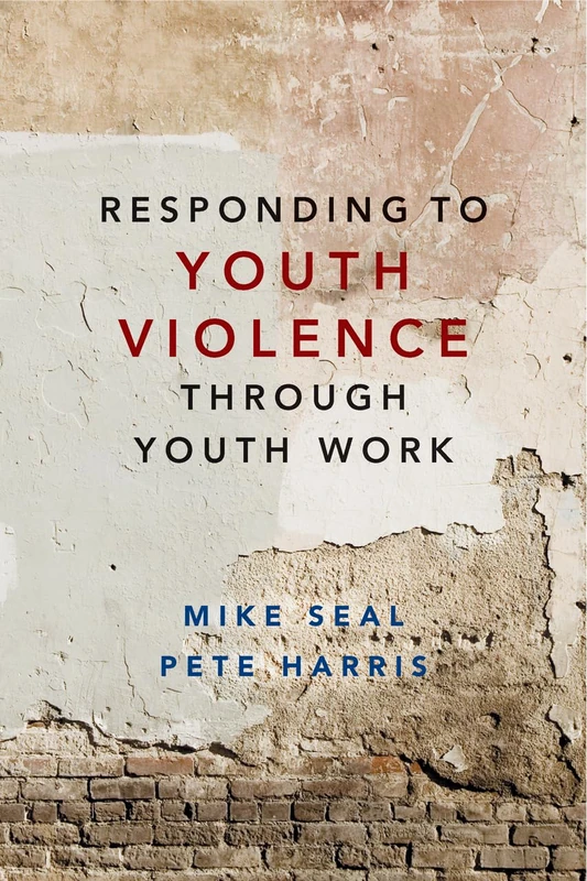 Responding to youth violence through youth work