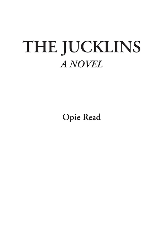 The Jucklins (A Novel)