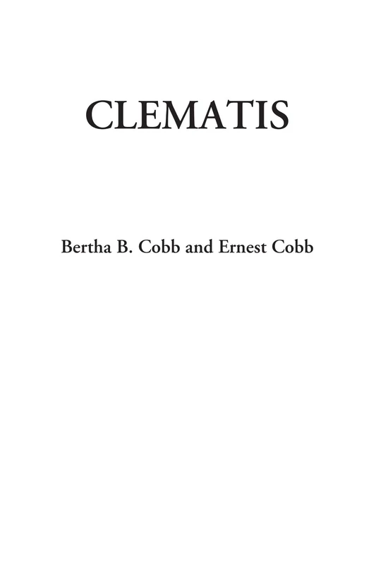 Clematis