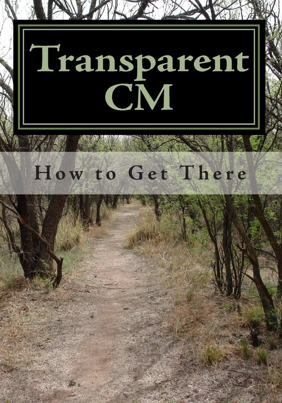Transparent CM: How to Get There: Volume 1 - Image 1