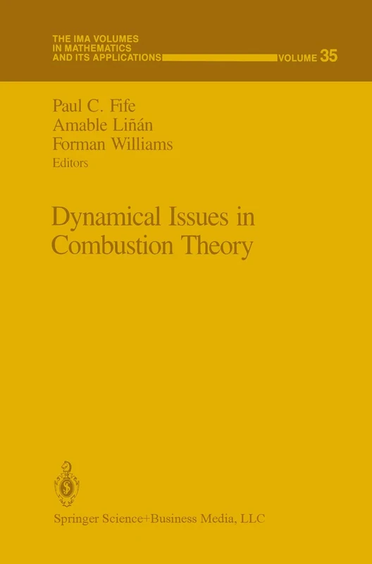 Dynamical Issues in Combustion Theory: 35 (The IMA Volumes in Mathematics and its Applications, 35)