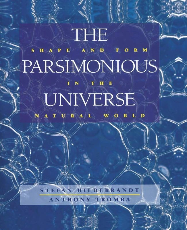 The Parsimonious Universe: Shape and Form in the Natural World - Image 1