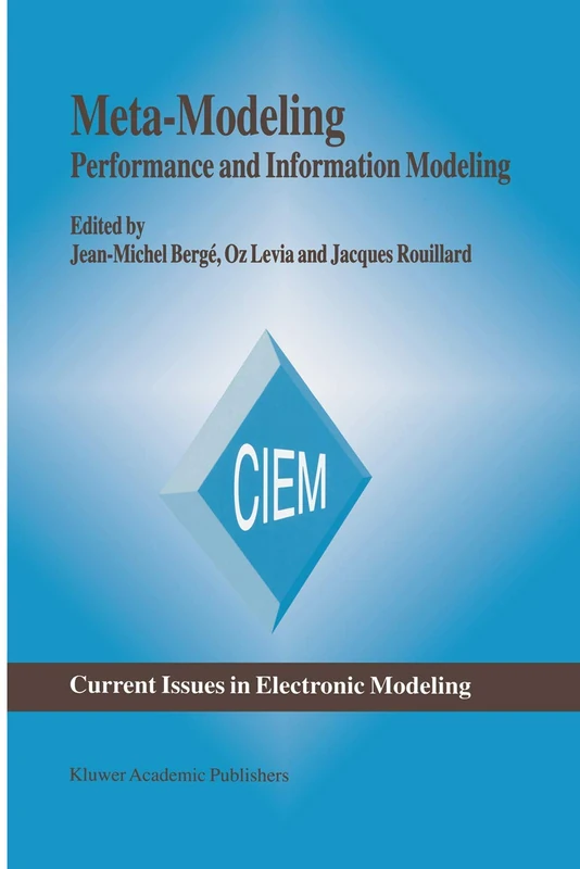 Meta-Modeling: Performance and Information Modeling: 6 (Current Issues in Electronic Modeling, 6)
