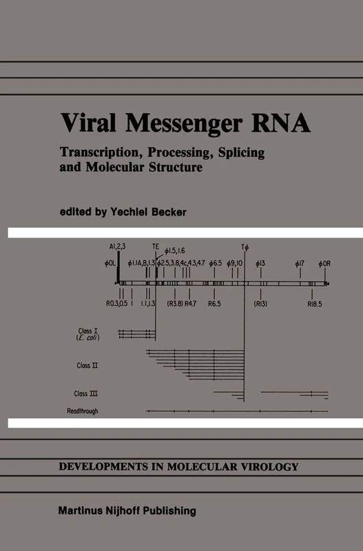 Viral Messenger RNA: Transcription, Processing, Splicing and Molecular Structure: 7 (Developments in Molecular Virology, 7)