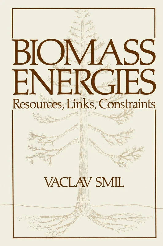 Biomass Energies: Resources, Links, Constraints (Institute for Amorphous Studies Series)