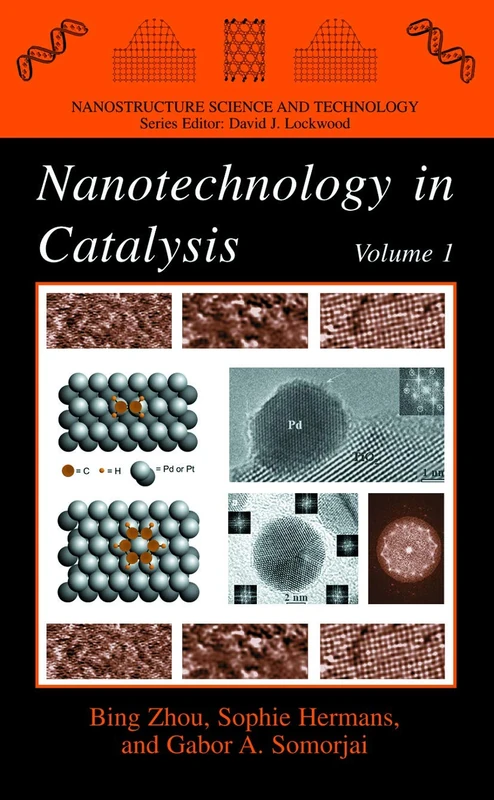 Nanotechnology in Catalysis (Nanostructure Science and Technology)