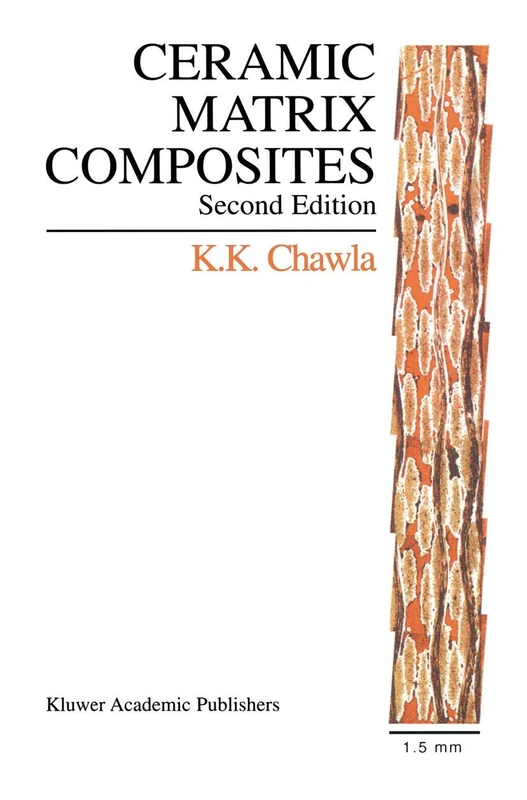 Ceramic Matrix Composites: Second Edition
