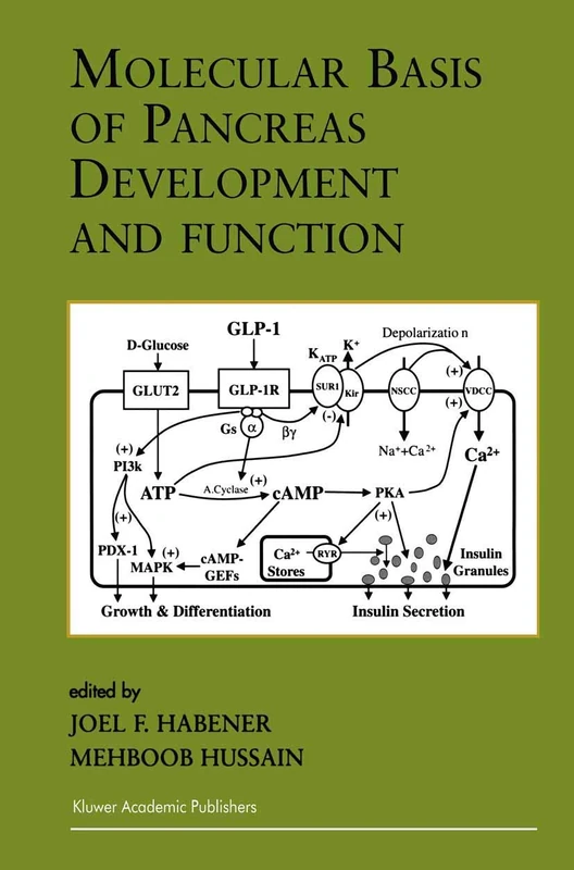 Molecular Basis of Pancreas Development and Function: 11 (Endocrine Updates, 11)