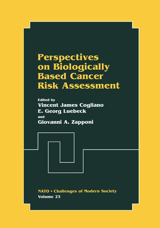 Perspectives on Biologically Based Cancer Risk Assessment: 23 (Nato Challenges of Modern Society, 23)
