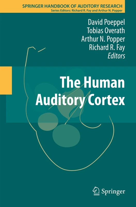 The Human Auditory Cortex: 43 (Springer Handbook of Auditory Research, 43)