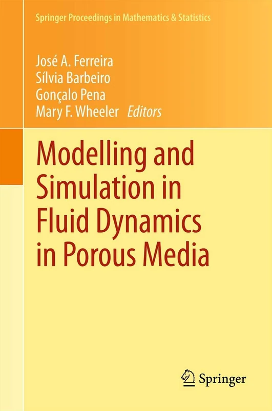 Modelling and Simulation in Fluid Dynamics in Porous Media: 28 (Springer Proceedings in Mathematics & Statistics, 28)