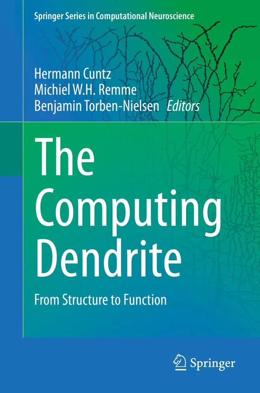 The Computing Dendrite: From Structure to Function: 11 (Springer Series in Computational Neuroscience, 11)