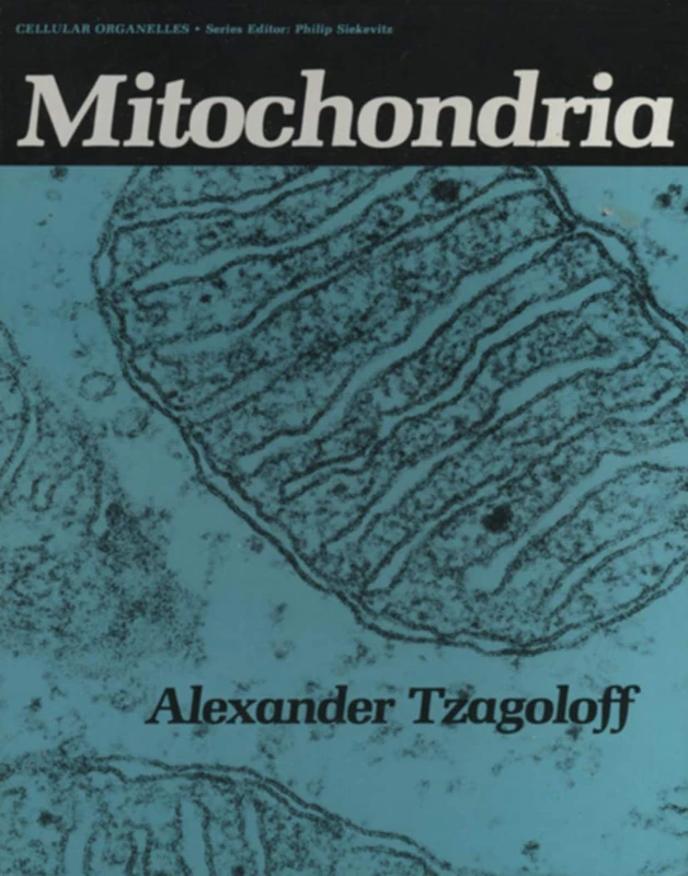 Mitochondria: 138 (Advances in Experimental Medicine and Biology, 138)