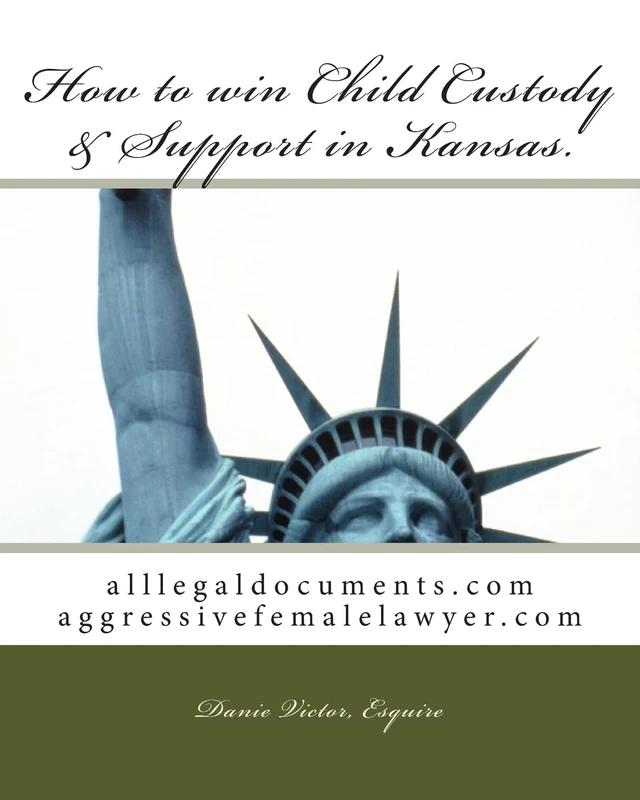 How to win Child Custody & Support in Kansas: alllegaldocuments.com aggressivefemalelawyer.com: Volume 100 (alllegaldocuments.com 500 legal forms books)