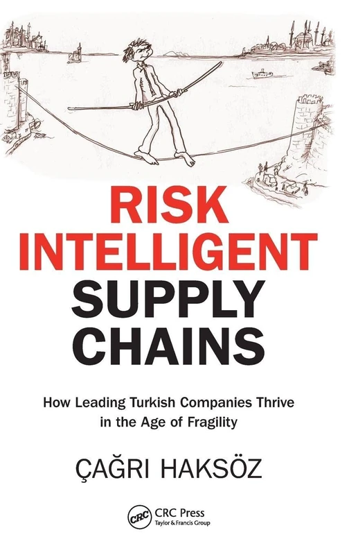 Risk Intelligent Supply Chains: How Leading Turkish Companies Thrive in the Age of Fragility - Image 1