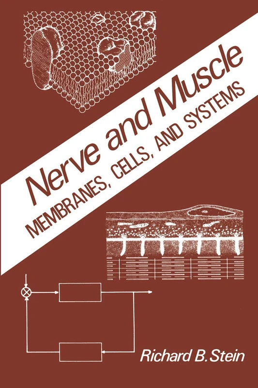 Nerve and Muscle: Membranes, Cells, and Systems