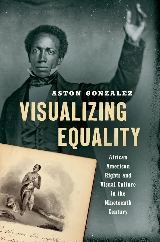 Visualizing Equality: African American Rights and Visual Culture in the Nineteenth Century (The John Hope Franklin Series in African American History and Culture) - Image 1
