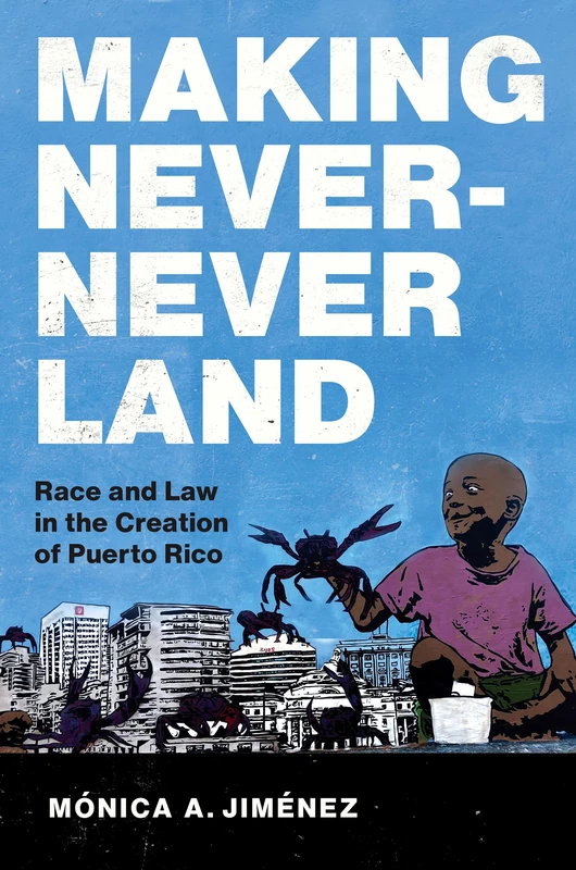 Making Never-Never Land: Race and Law in the Creation of Puerto Rico (Latinx Histories)