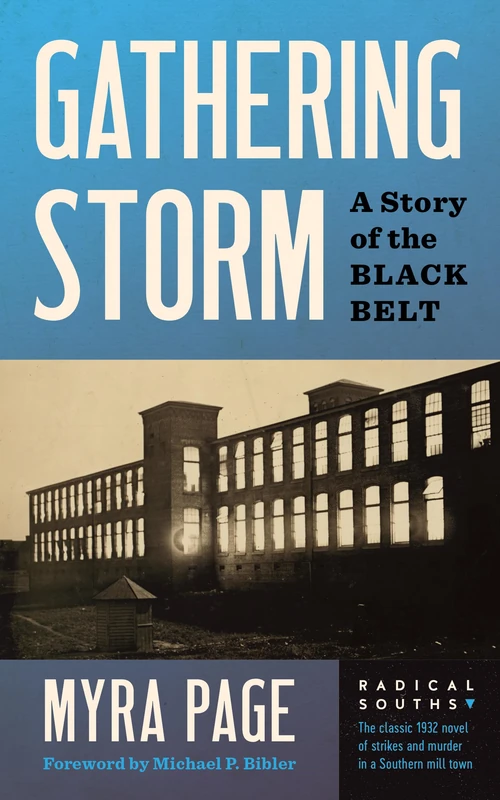 Gathering Storm: A Novel of the Black Belt (Radical Souths)