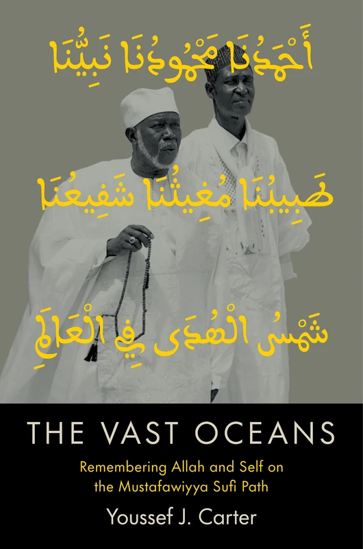 The Vast Oceans: Remembering Allah and Self on the Mustafawiyya Sufi Path (Islamic Civilization and Muslim Networks)