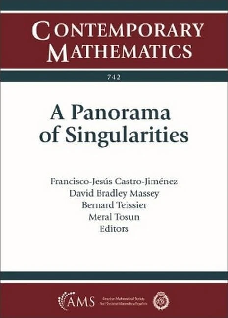 A Panorama of Singularities (Contemporary Mathematics) - Image 1