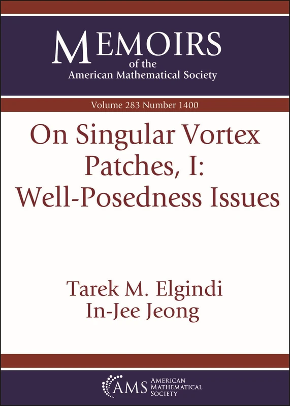 On Singular Vortex Patches I: Well-Posedness Issues: 1 (Memoirs of the American Mathematical Society)