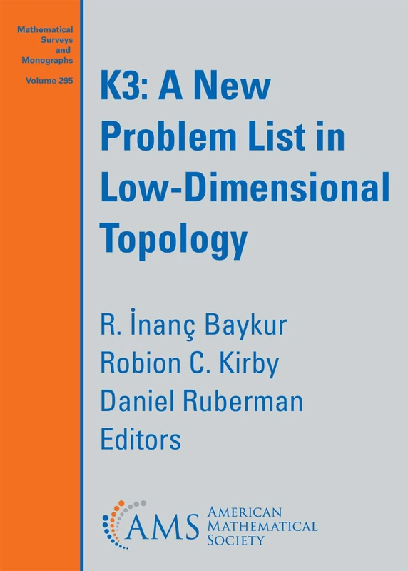$mathrm{K3}$: a New Problem List in Low-Dimensional Topology (Mathematical Surveys and Monographs)