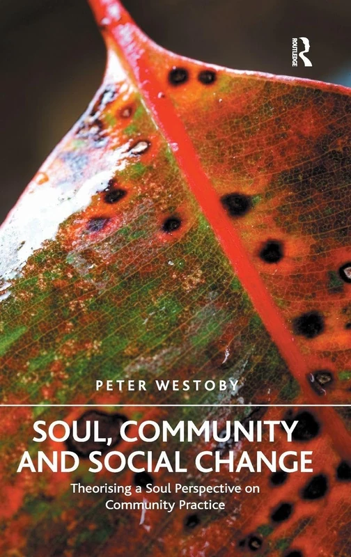 Soul, Community and Social Change: Theorising a Soul Perspective on Community Practice