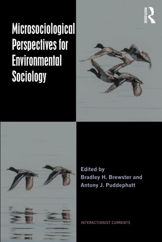 Microsociological Perspectives for Environmental Sociology (Interactionist Currents)