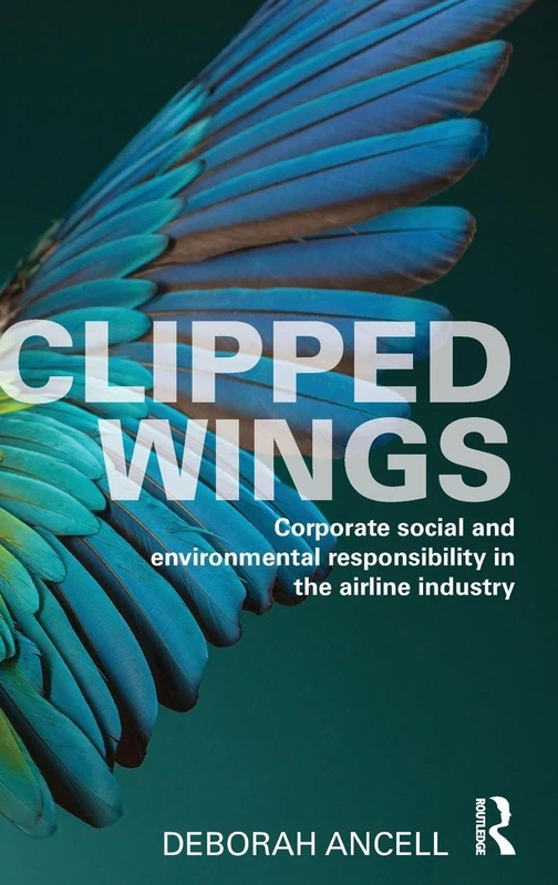 Clipped Wings - Routledge Corporate Social Responsibility Book - Image 1