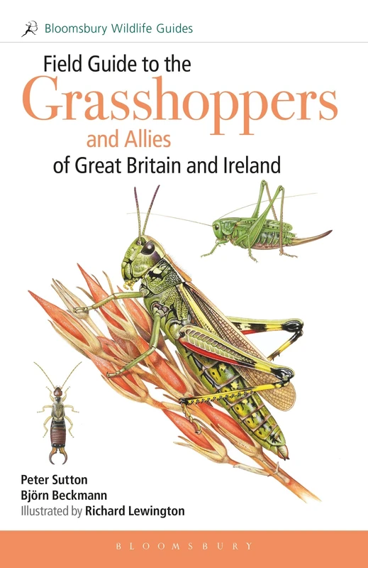 Field Guide to the Grasshoppers and Allies of Great Britain and Ireland: Grasshoppers, Crickets, Earwigs, Cockroaches, Mantids and Stick-insects (Bloomsbury Wildlife Guides)