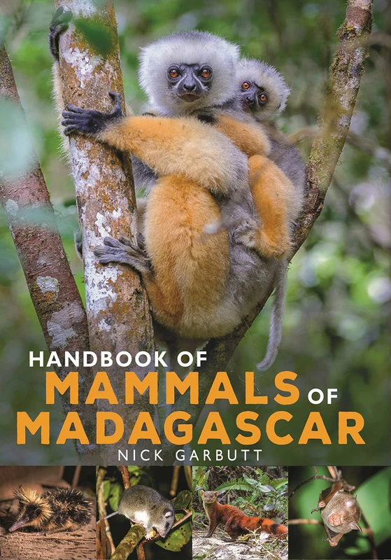 Bloomsbury Wildlife - Handbook of Mammals of Madagascar