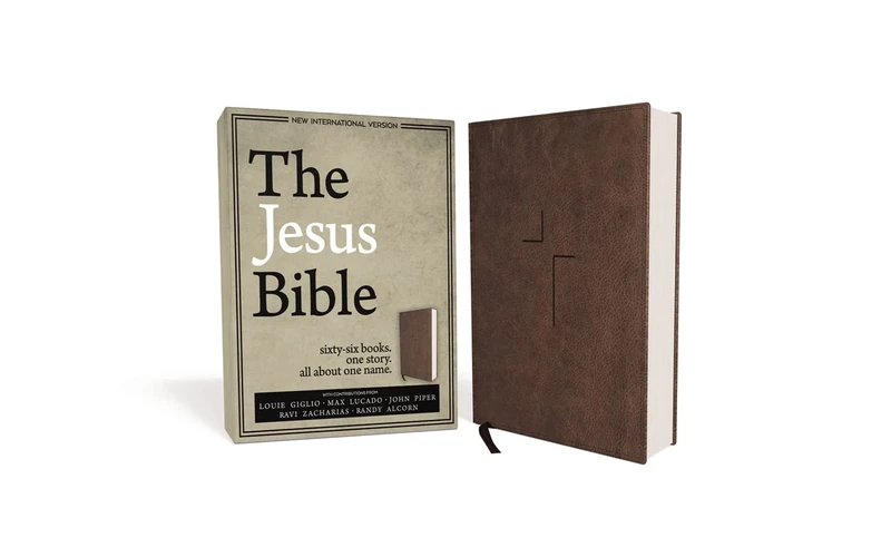 NIV Jesus Bible: Imitation Leather