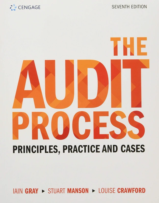 The Audit Process