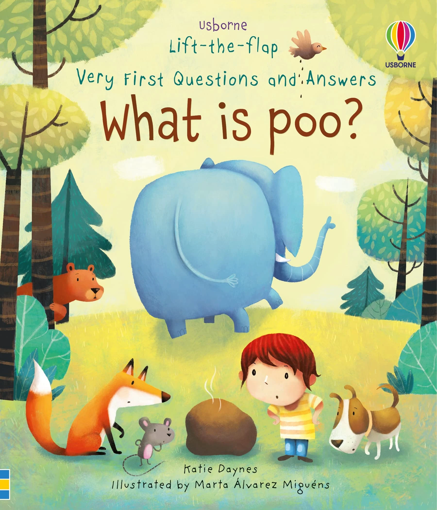 What is Poo? (Very First Lift-the-Flap Questions and Answers) (Very First Lift-the-Flap Questions & Answers): 1 (Very First Questions and Answers)