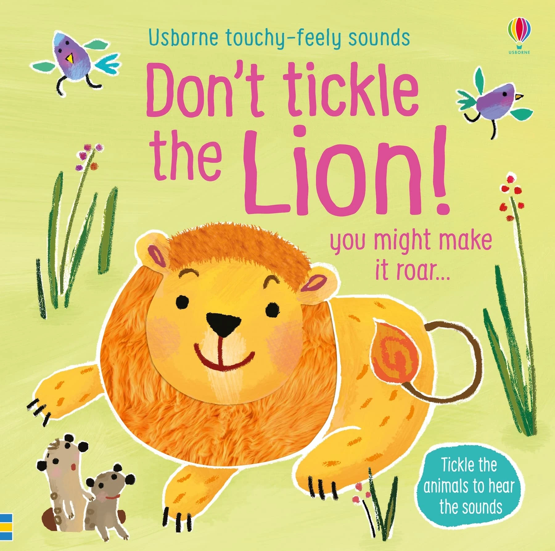Don't Tickle the Lion! (Touchy-Feely Sound Books) (DON'T TICKLE Touchy Feely Sound Books)