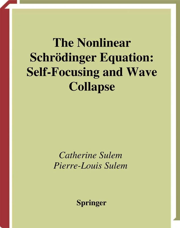 The Nonlinear Schrödinger Equation: Self-Focusing and Wave Collapse: 139 (Applied Mathematical Sciences, 139)