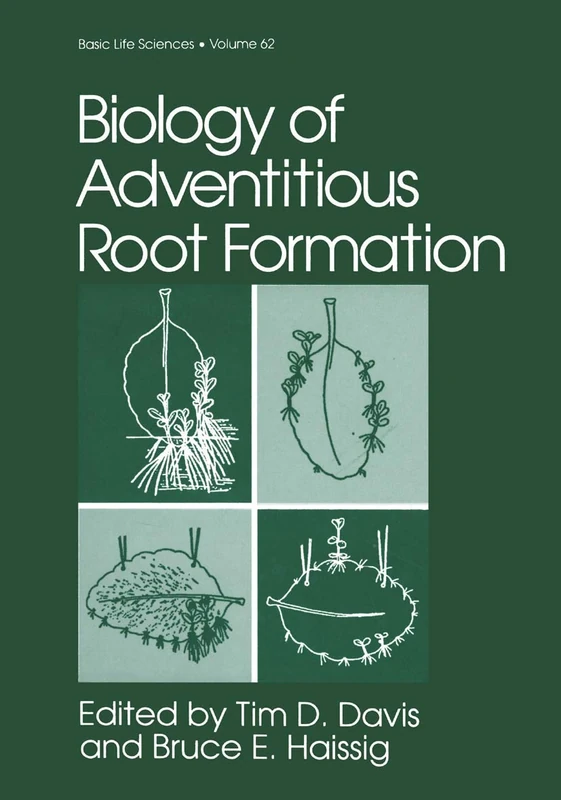 Biology of Adventitious Root Formation: 62 (Basic Life Sciences, 62)