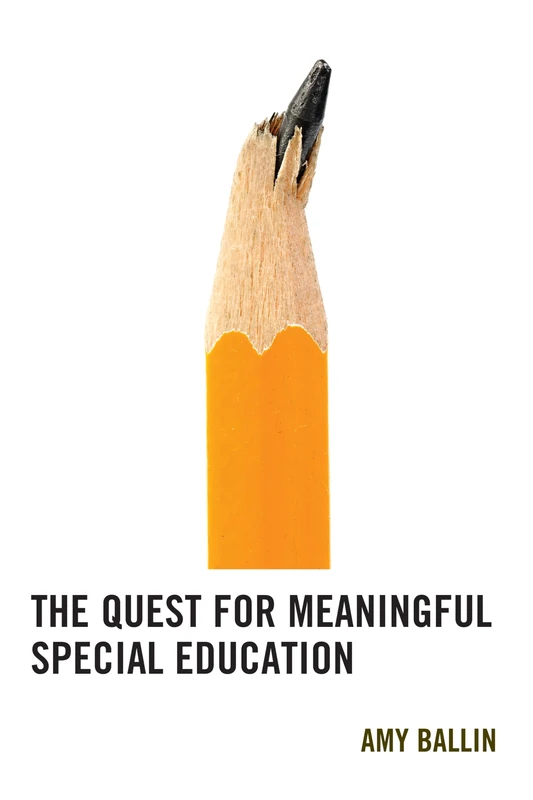 The Quest for Meaningful Special Education - Image 1