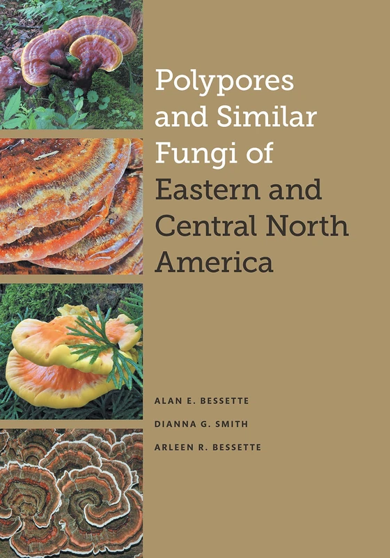 Polypores and Similar Fungi of Eastern and Central North America (The Corrie Herring Hooks Series)