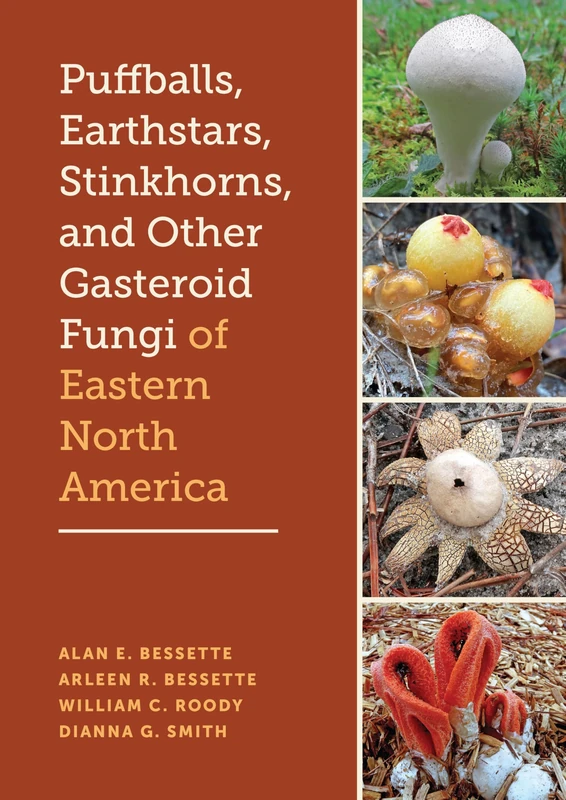 Puffballs, Earthstars, Stinkhorns, and Other Gasteroid Fungi of Eastern North America