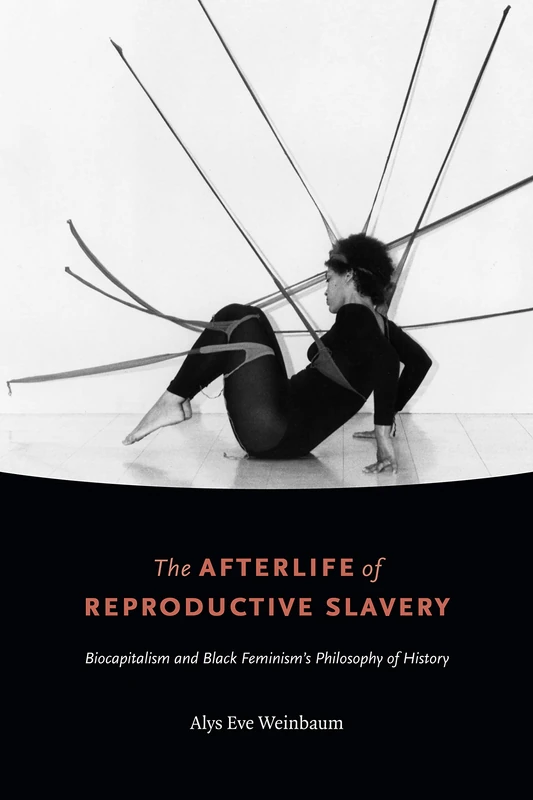 The Afterlife of Reproductive Slavery: Biocapitalism and Black Feminism’s Philosophy of History - Image 1