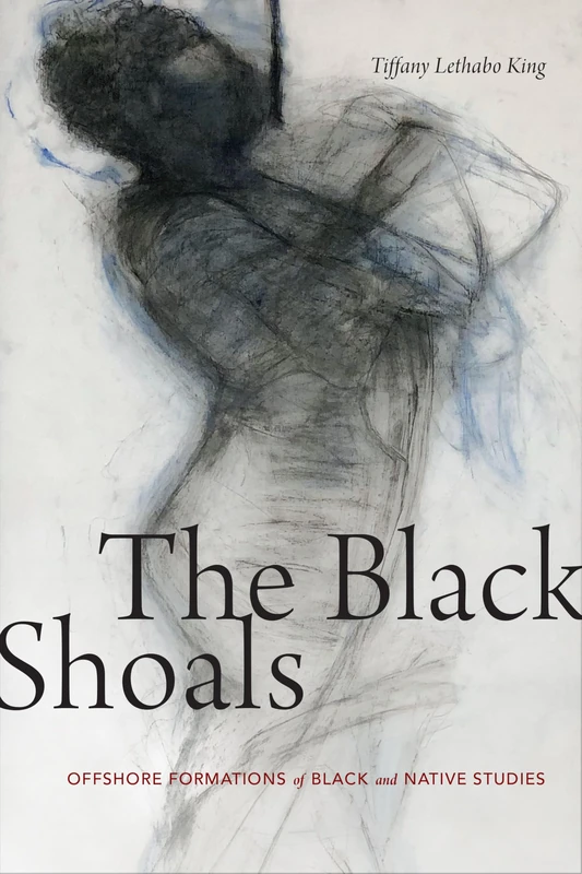 The Black Shoals: Offshore Formations of Black and Native Studies - Image 1